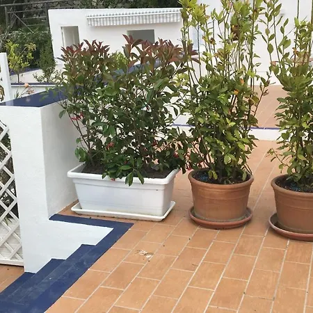 Panorama Da Cartolina Ischia
